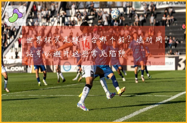 世界杯买足球平台哪个好？选对网站可以避开这些常见陷阱