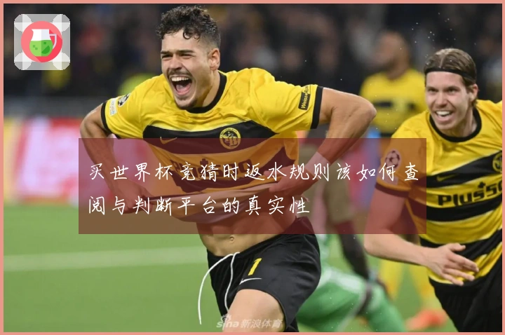 买世界杯竞猜时返水规则该如何查阅与判断平台的真实性