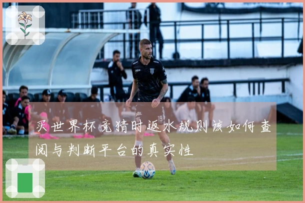 买世界杯竞猜时返水规则该如何查阅与判断平台的真实性