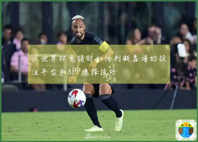 买世界杯竞猜时如何判断靠谱的投注平台和APP选择技巧