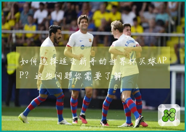 如何选择适合新手的世界杯买球APP？这些问题你需要了解