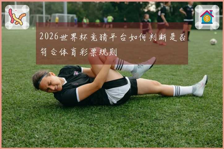 2026世界杯竞猜平台如何判断是否符合体育彩票规则
