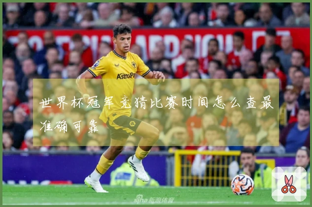 世界杯冠军竞猜比赛时间怎么查最准确可靠