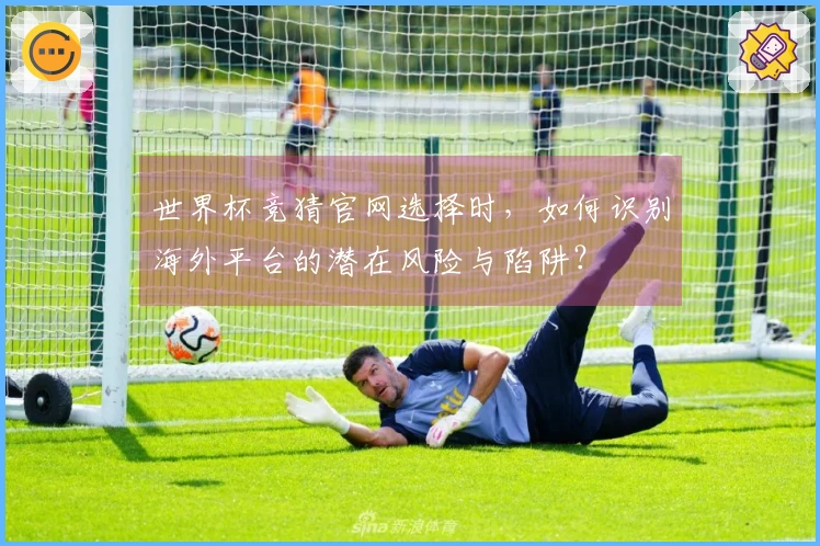世界杯竞猜官网选择时，如何识别海外平台的潜在风险与陷阱？