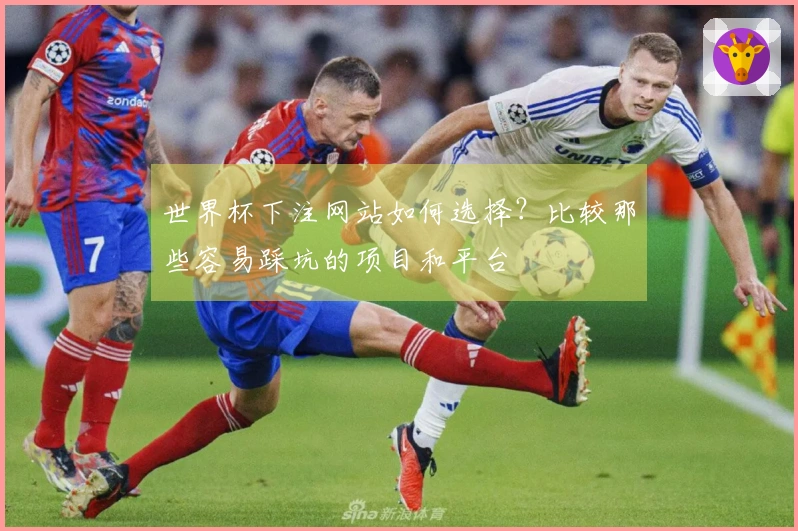 世界杯下注网站如何选择？比较那些容易踩坑的项目和平台