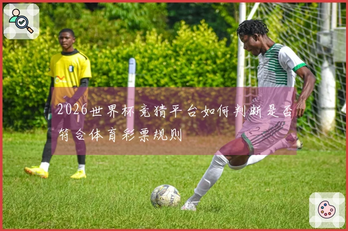 2026世界杯竞猜平台如何判断是否符合体育彩票规则