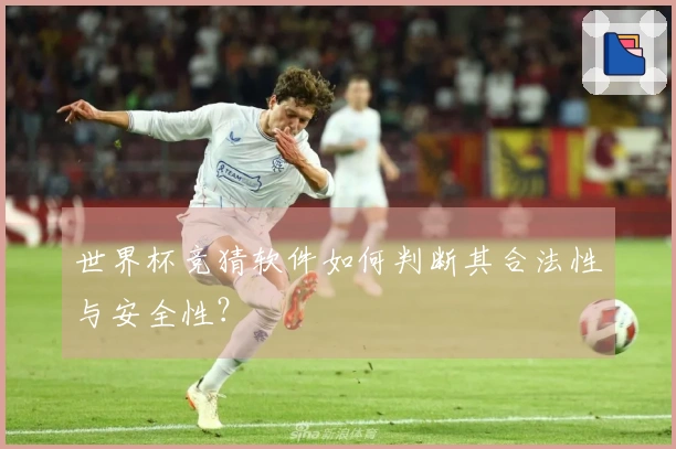 世界杯竞猜软件如何判断其合法性与安全性？