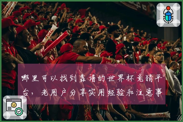 哪里可以找到靠谱的世界杯竞猜平台，老用户分享实用经验和注意事项
