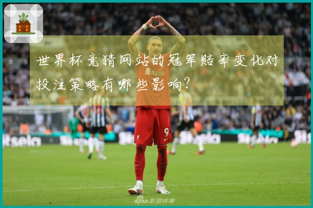 世界杯竞猜网站的冠军赔率变化对投注策略有哪些影响？
